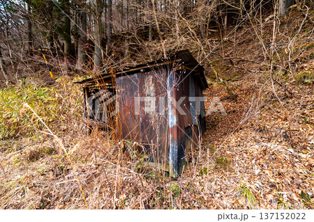 廃屋　トタン小屋　山林　朽ちた建物　ノスタルジー 137152022