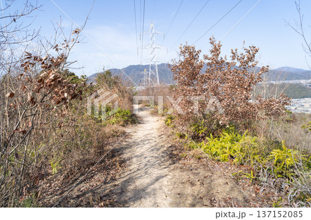 鈴ヶ峰の尾根道（広島アルプス） 137152085