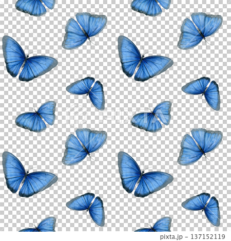 Morpho butterflies. Seamless pattern of blue butterflies. Perfect for fabric, wallpaper, wrapping paper, stationery and spring designs Morpho butterflies. Seamless pattern of blue butterflies. Perfect for fabric, wallpaper, wrapping paper, stationery and spring designs 137152119