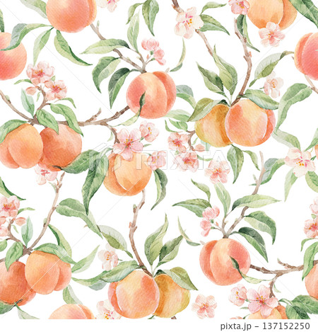 Seamless Watercolor Peach Pattern with Blossom Flowers and Green Leaves, botanical fruit design on light background for textile, wallpaper and summer fabric print 137152250