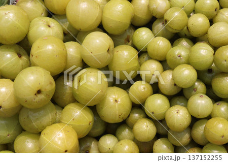 amla gooseberry stock on shop 137152255