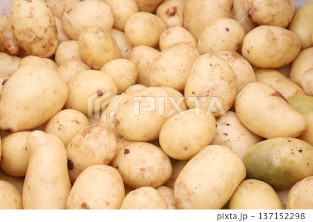 Potato on shop for sell are cash crops Potato on shop for sell are cash crops 137152298