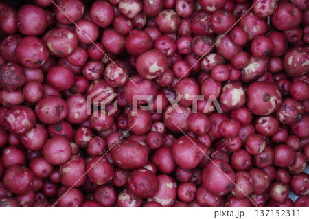 Potato on shop for sell are cash crops Potato on shop for sell are cash crops 137152311