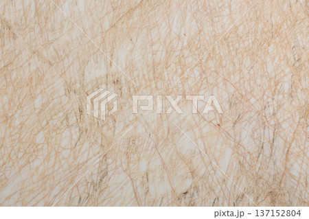 Marble texture in adorable beige hue. 137152804