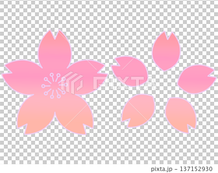 手繪櫻花花瓣插圖集 - 淺色漸變 手繪櫻花花瓣插圖集 - 淺色漸變 137152930