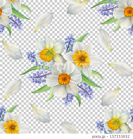 Spring flowers. Seamless watercolor pattern of white narcissus with yellow, blue muscari and scattered white petals on white background. Ideal for fabric, wrapping paper, stationery, and spring decor Spring flowers. Seamless watercolor pattern of white narcissus with yellow, blue muscari and scattered white petals on white background. Ideal for fabric, wrapping paper, stationery, and spring decor 137153032