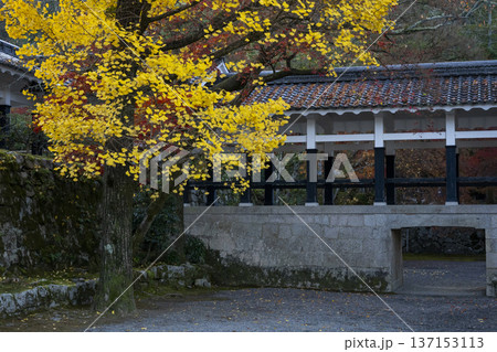 静かに明ける境内 137153113