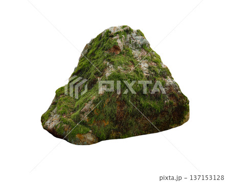 stone covered with moss isolated on white background 137153128