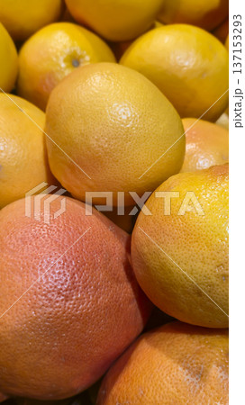 Orange grapefruits in large crates on store shelves. Display and sale of citrus fruits. Orange grapefruits in large crates on store shelves. Display and sale of citrus fruits. 137153293