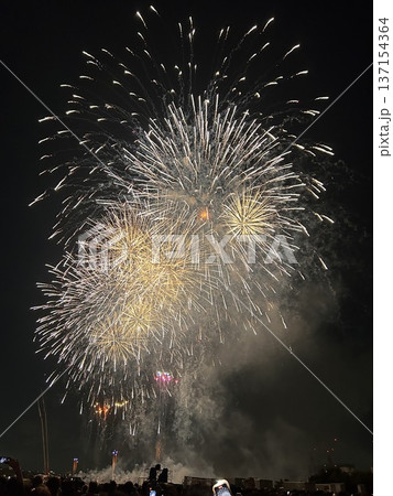 第50回江戸川花火大会の打ち上げ花火 137154364