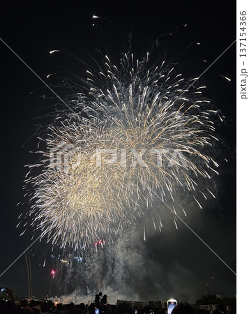 第50回江戸川花火大会の打ち上げ花火 第50回江戸川花火大会の打ち上げ花火 137154366