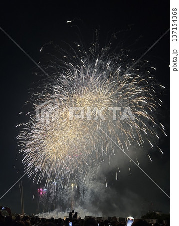 第50回江戸川花火大会の打ち上げ花火 第50回江戸川花火大会の打ち上げ花火 137154368