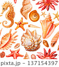 Seahorse seashell patterns with orange starfish coral and conch shells on white background 137154397
