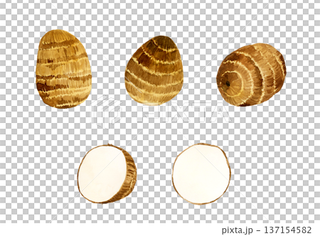 Taro set - Hand-drawn watercolor illustration of vegetables 137154582