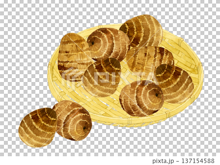 竹ざるに乗ったサトイモ　野菜の手描き水彩イラスト素材 137154588
