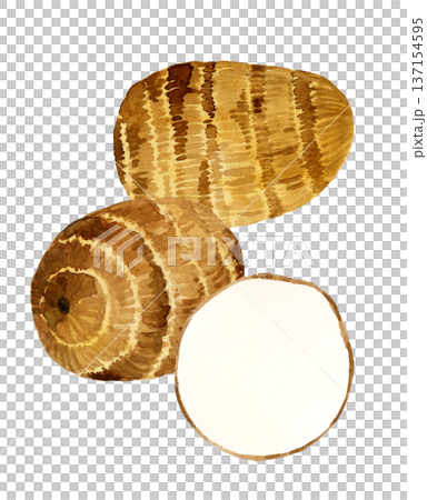 Taro set - Hand-drawn watercolor illustration of vegetables 137154595