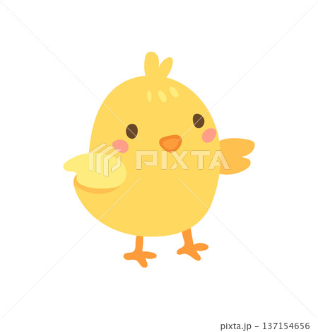 Adorable yellow Easter chick cartoon with tiny wings and beak, charming baby shower, farm theme and children party illustration 137154656
