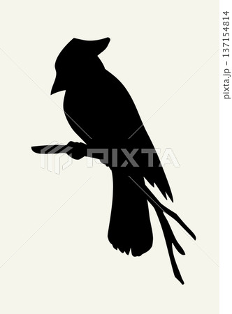 Vector drawing. Bird on white sky backdrop. Vector drawing. Bird on white sky backdrop. 137154814