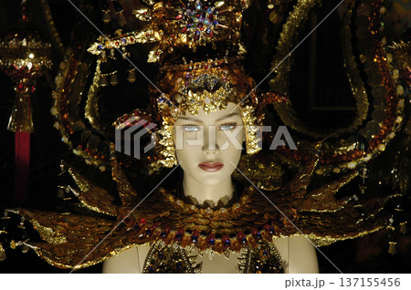 mannequin with typical carnival costume mannequin with typical carnival costume 137155456