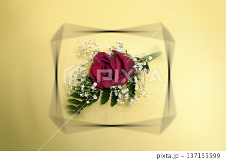 red rose ready to put on the groom's lapel 137155599
