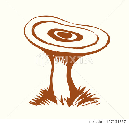 Vector drawing. Saffron milk cap mushroom 137155827