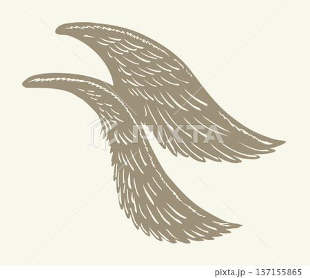 Vector drawing. Two large wings. Vector drawing. Two large wings. 137155865
