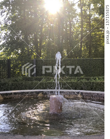 single-jet garden fountain with the sun in the background among the trees single-jet garden fountain with the sun in the background among the trees 137155875