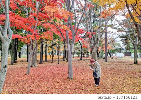 紅葉の落ち葉の中の散歩 紅葉の落ち葉の中の散歩 137156123