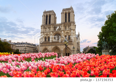 Notre Dame cathedral, Paris France Notre Dame cathedral, Paris France 137156353