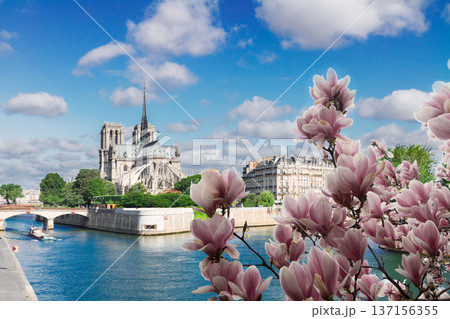 Notre Dame cathedral, Paris France Notre Dame cathedral, Paris France 137156355