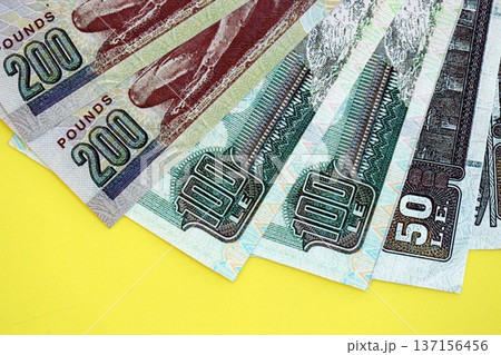 Egyptian pound money bills in big amount on yellow close up. Finance and banking concept Egyptian pound money bills in big amount on yellow close up. Finance and banking concept 137156456