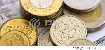 Big amount of polish zloty money banknotes and grosz coins close up. Huge pile of cash of Poland currency. Concept of business, economy and investment in Poland 137156465