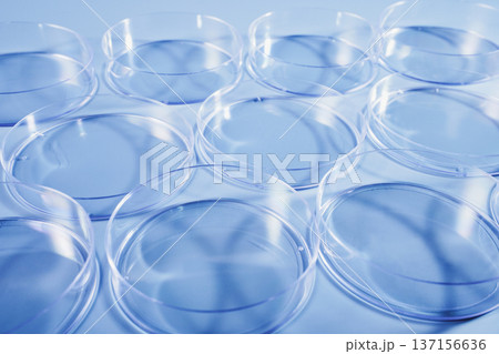Empty clear petri dishes arranged on light blue background for scientific experiments 137156636