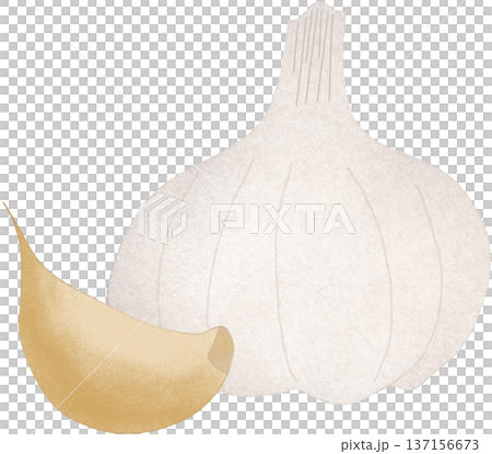 fresh garlic fresh garlic 137156673