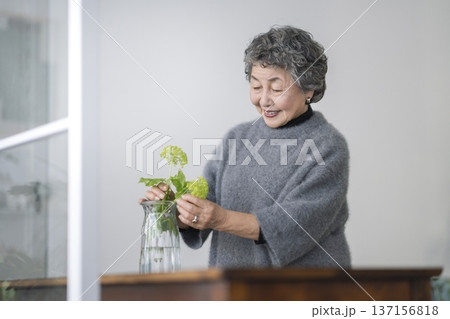 部屋に花を飾るシニア女性 137156818
