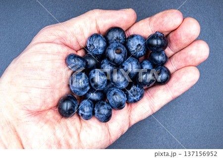 delicious summer blueberries on grocery market counter delicious summer blueberries on grocery market counter 137156952