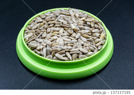 beautiful texture ripe of natural sunflower seeds on background beautiful texture ripe of natural sunflower seeds on background 137157195