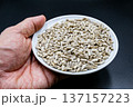 beautiful texture ripe of natural sunflower seeds on background 137157223
