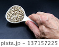 beautiful texture ripe of natural sunflower seeds on background 137157225