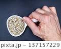beautiful texture ripe of natural sunflower seeds on background 137157229