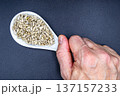 beautiful texture ripe of natural sunflower seeds on background 137157233