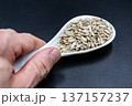 beautiful texture ripe of natural sunflower seeds on background 137157237