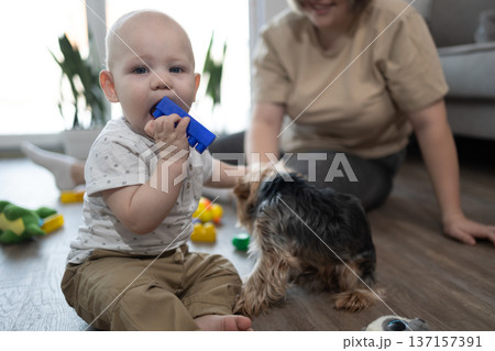 Baby boy chewing blue toy on living room floor with scattered playthings. Smiling woman sitting nearby watching child play with family dog. Parenting bonding and family moments for mothers day. Baby boy chewing blue toy on living room floor with scattered playthings. Smiling woman sitting nearby watching child play with family dog. Parenting bonding and family moments for mothers day. 137157391