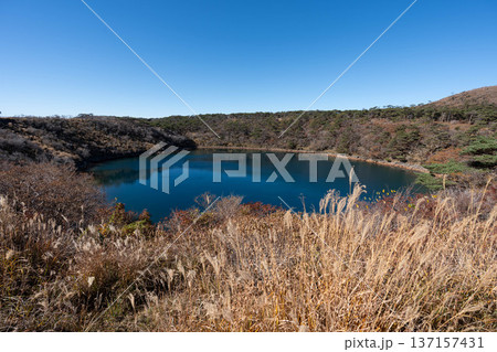 不動池の景観 137157431