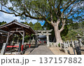 田嶋神社の伽藍 137157882