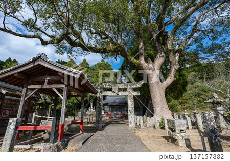田嶋神社の伽藍 田嶋神社の伽藍 137157882