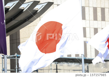 【日本の国旗】春の街並みになびく国旗 137157985