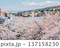 桜と街並み（兼六園・2020/04/11） 137158230