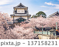 城門と桜（金沢城公園・2020/04/11） 137158231