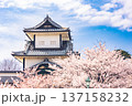 城門と桜2（金沢城公園・2020/04/11） 137158232